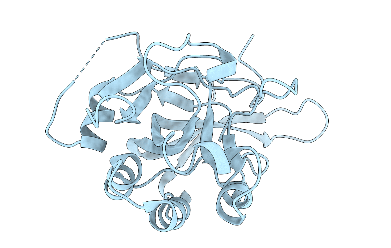 2BDV image