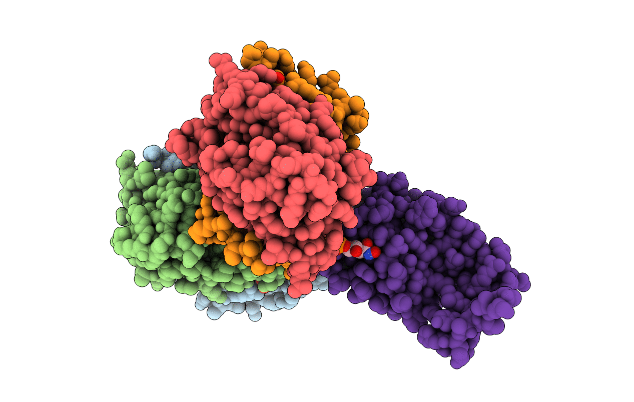 2BES image