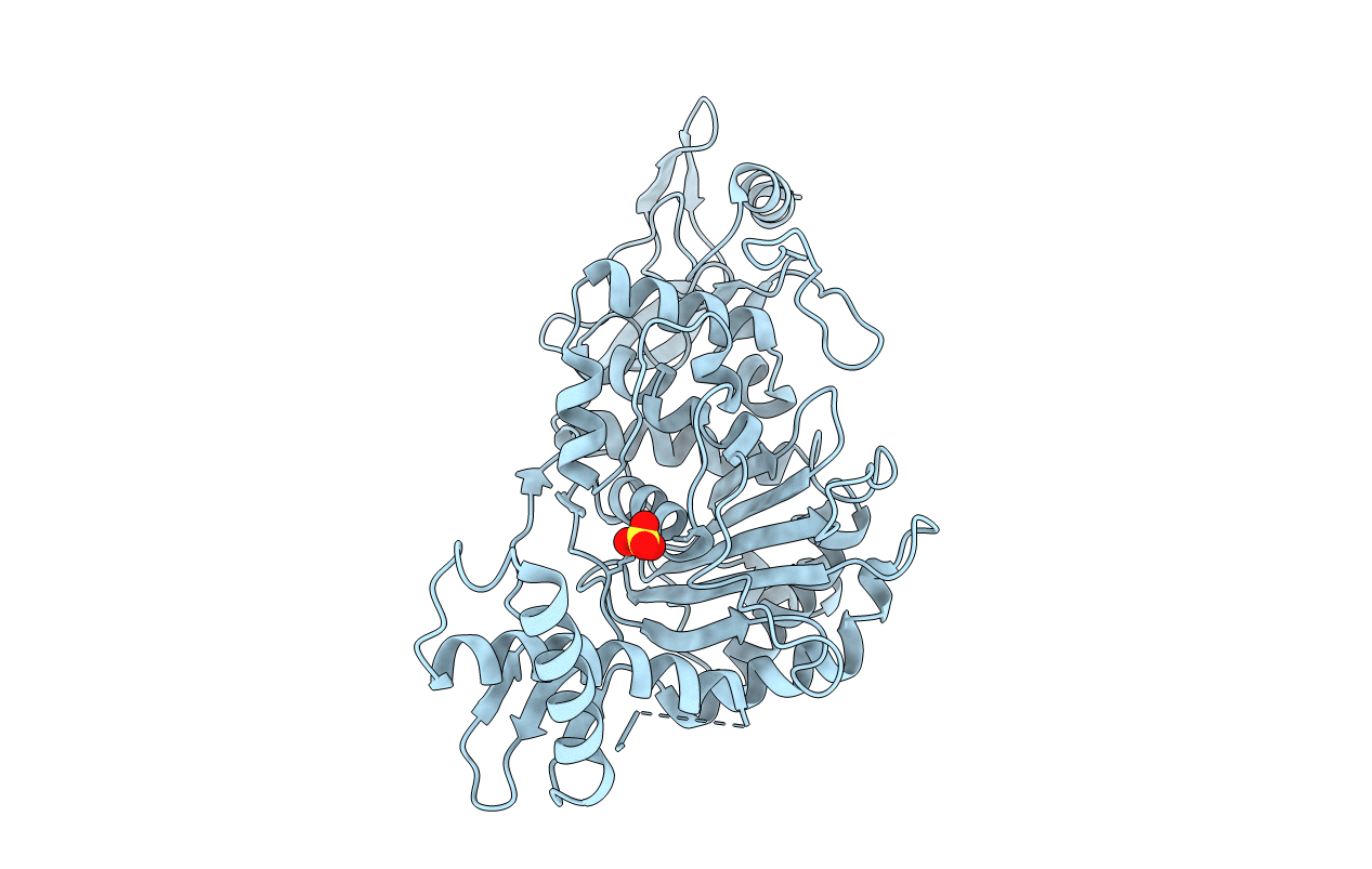 2BG1 image
