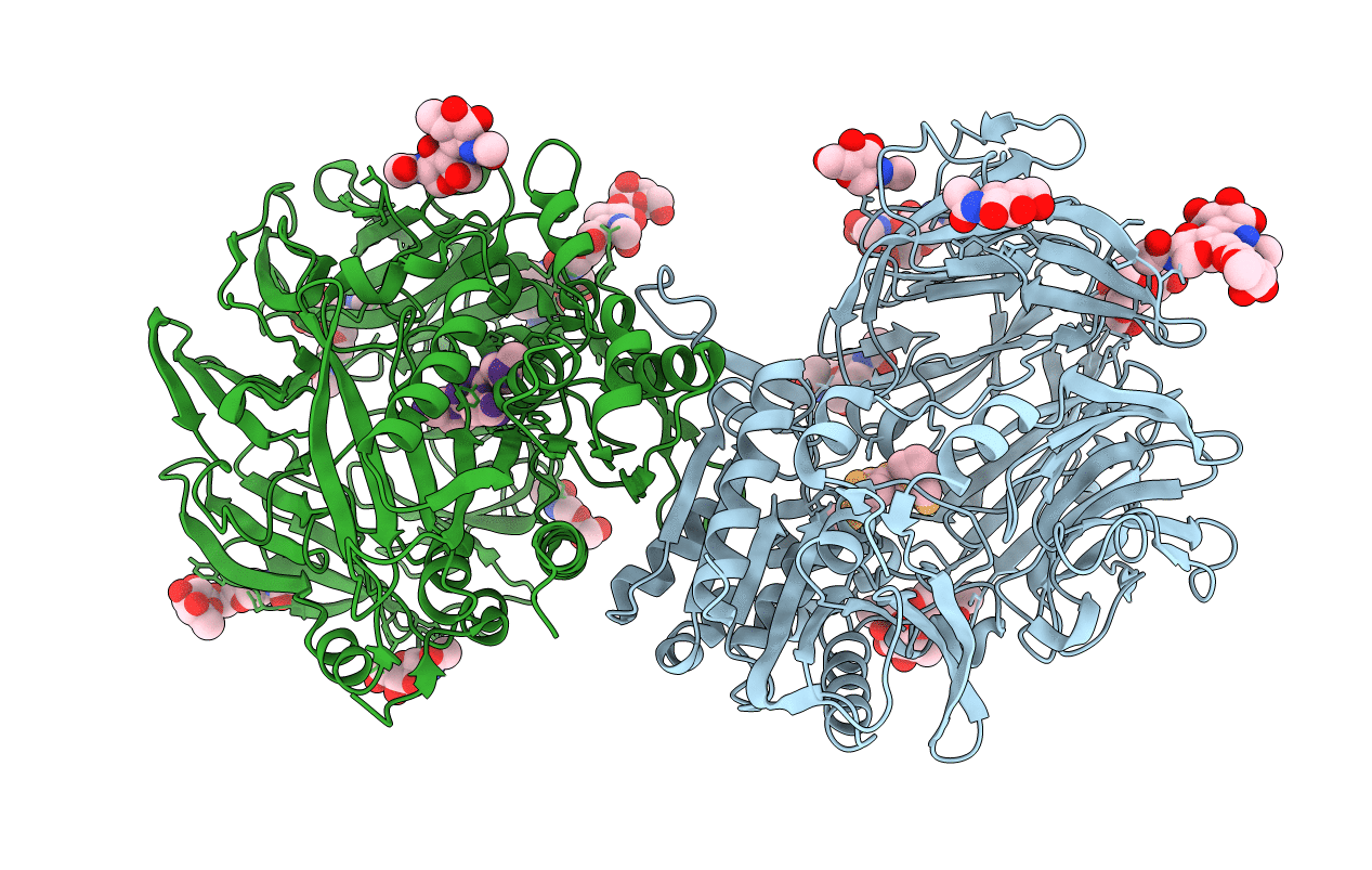 2BGR image