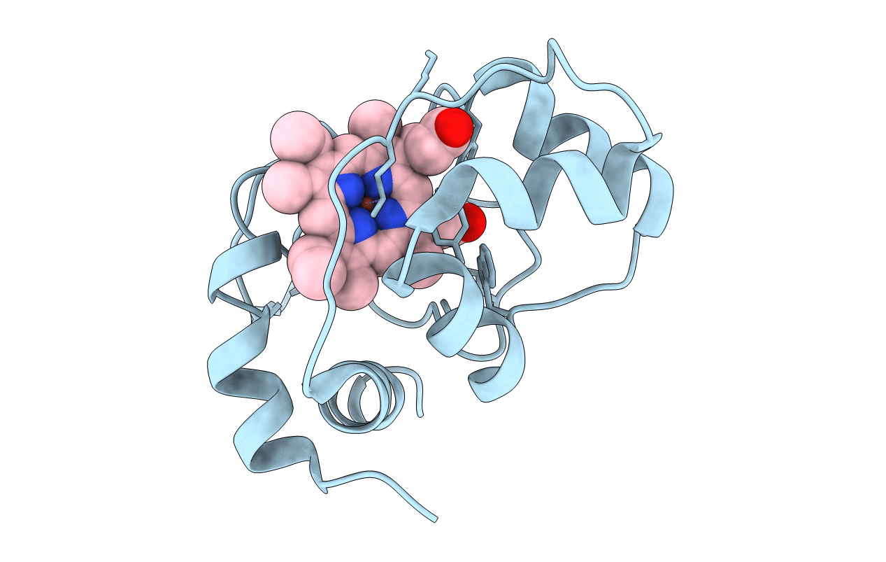 2BGV image
