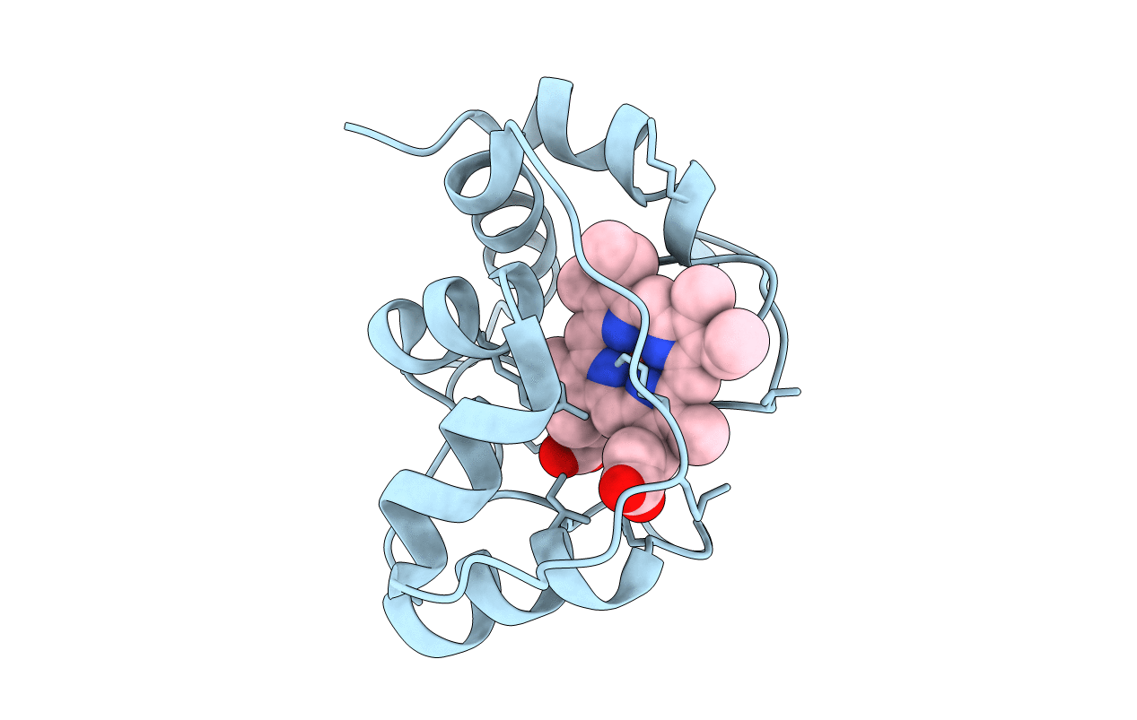 2BH4 image