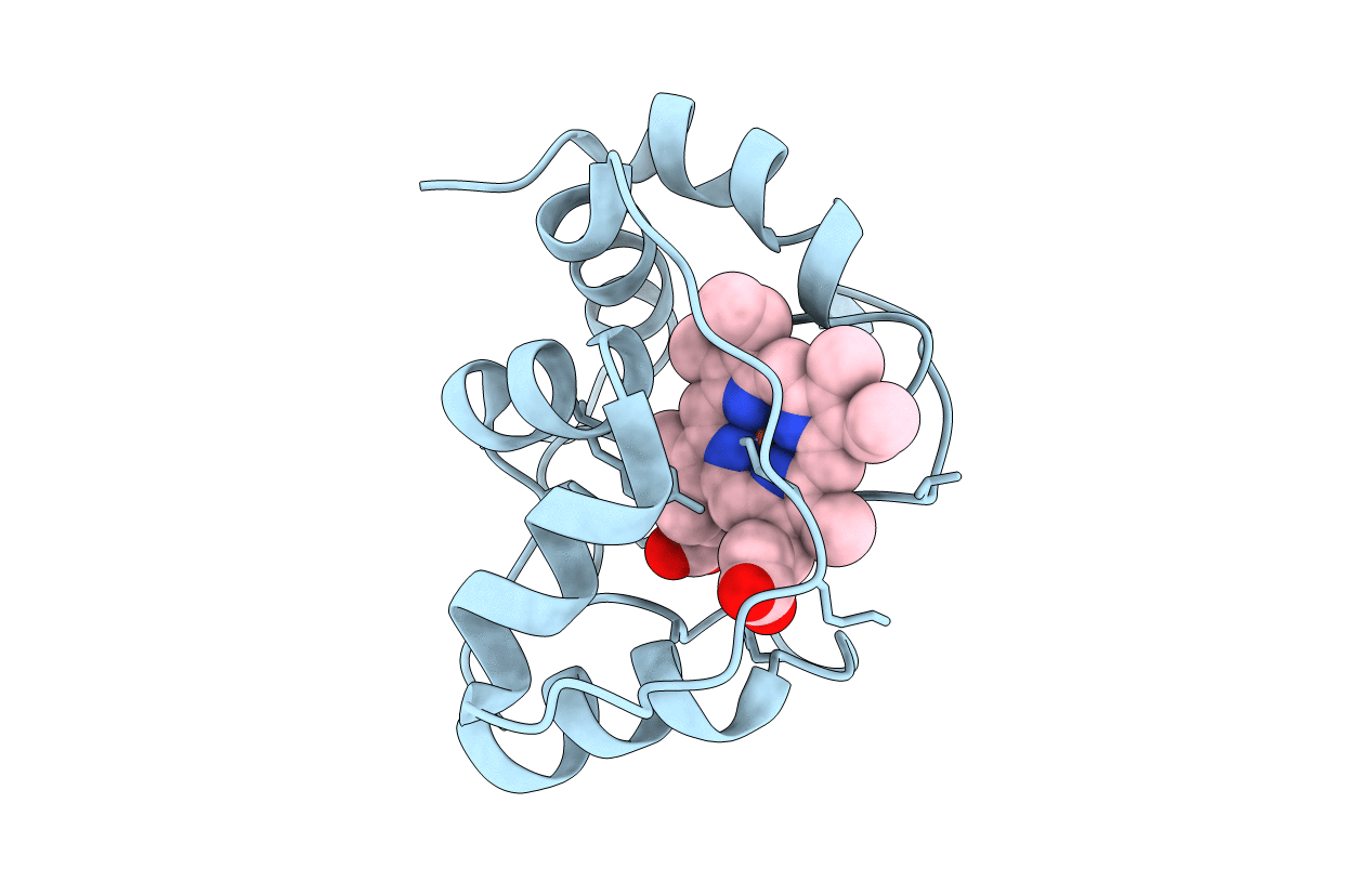 2BH5 image