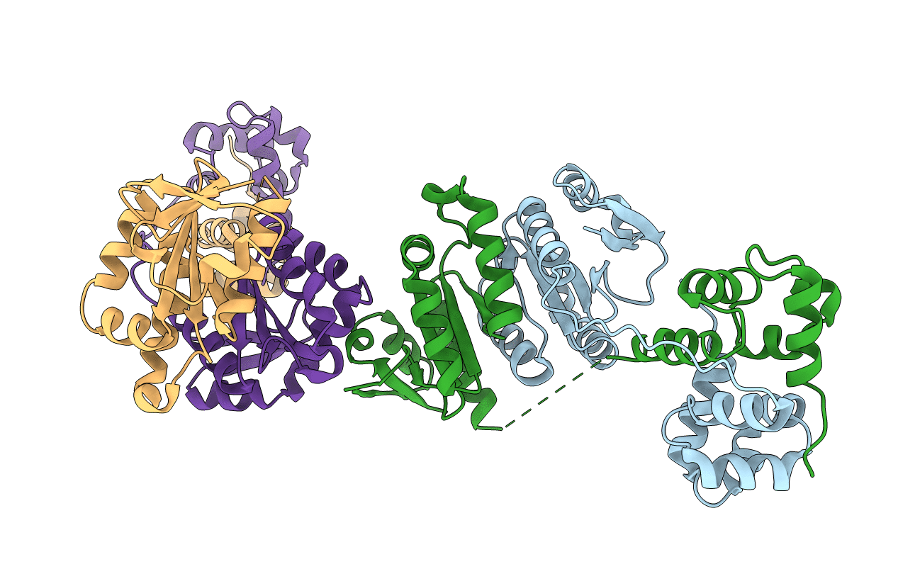 2BHN image