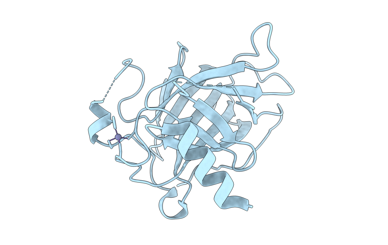 2BIP image