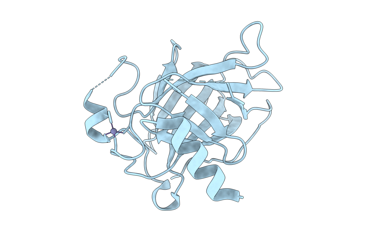 2BIQ image