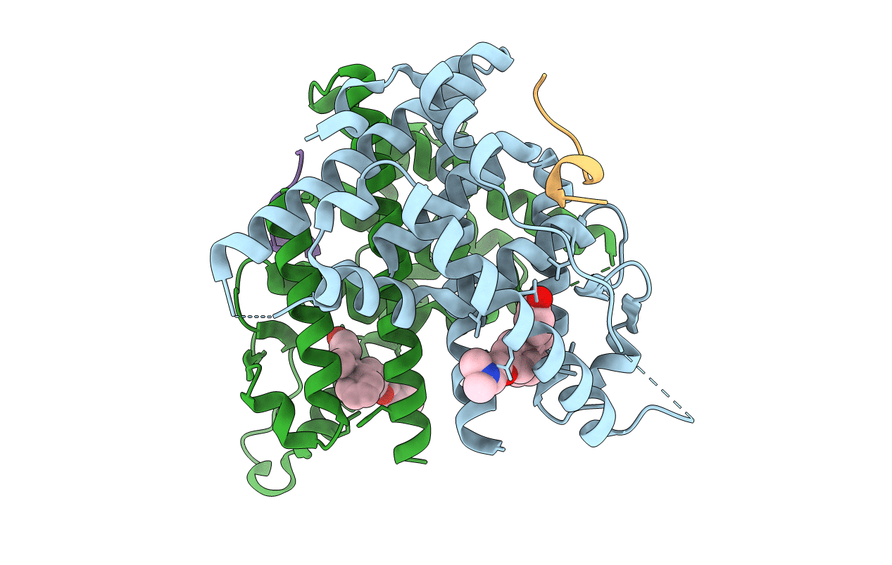 2BJ4 image