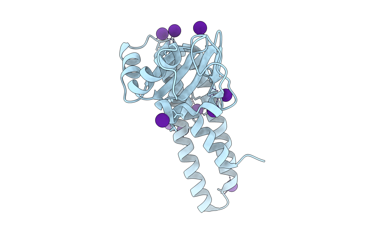 2BKN image