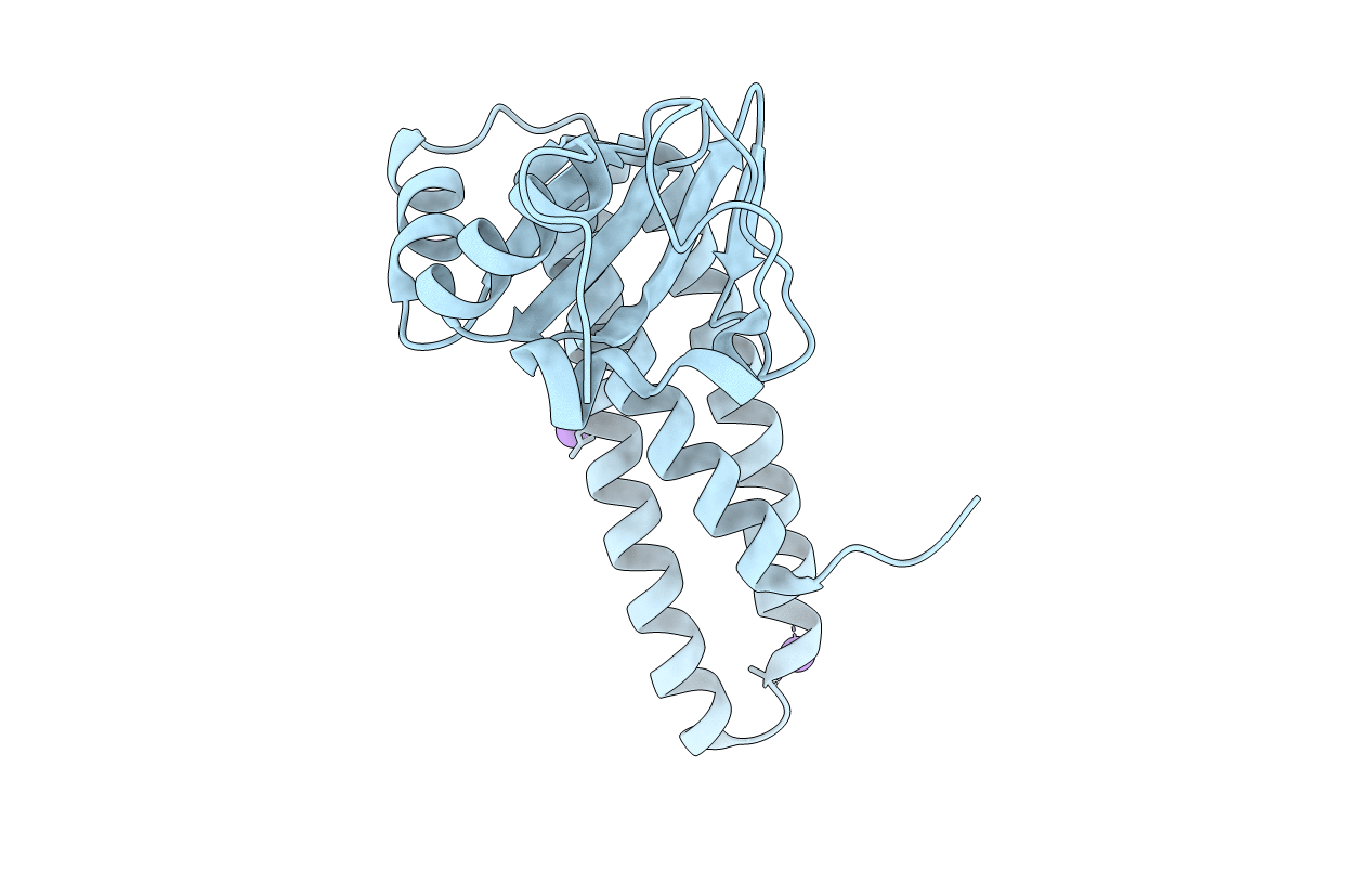 2BKP image