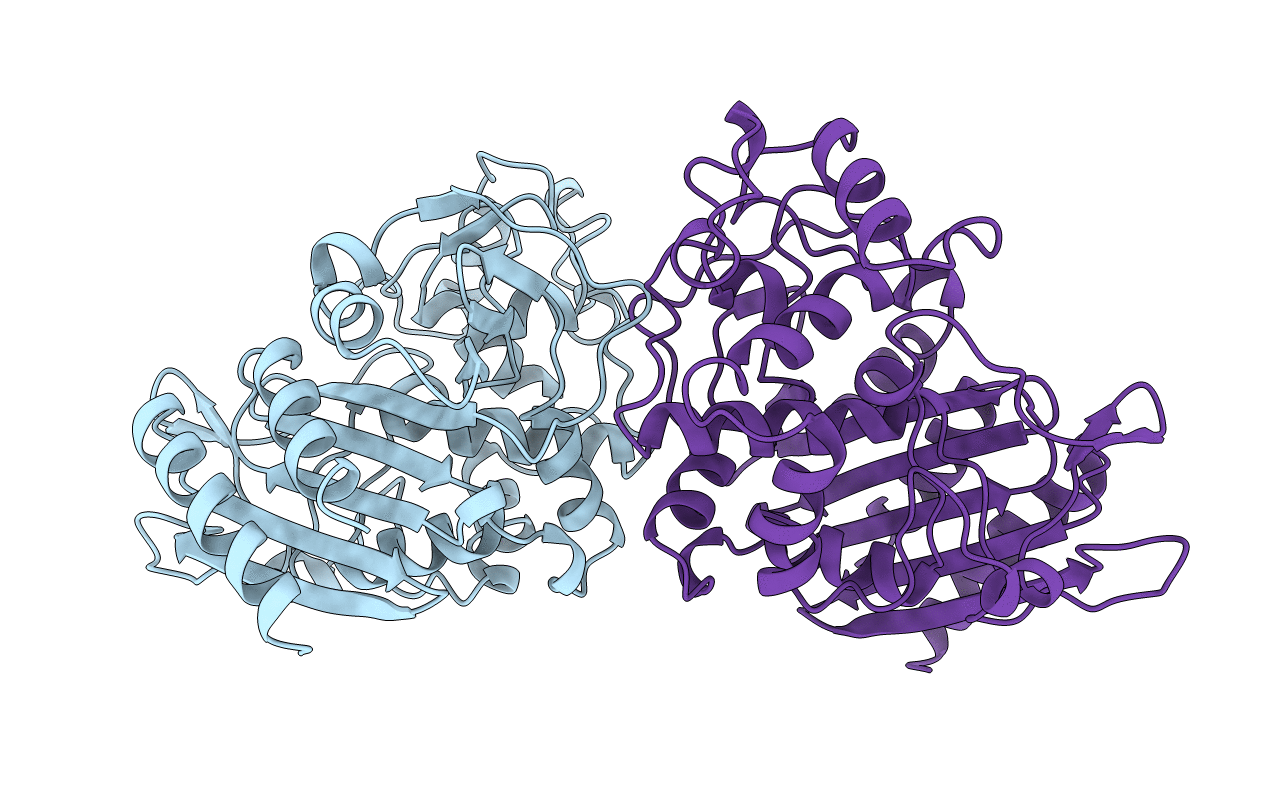 2BLS image