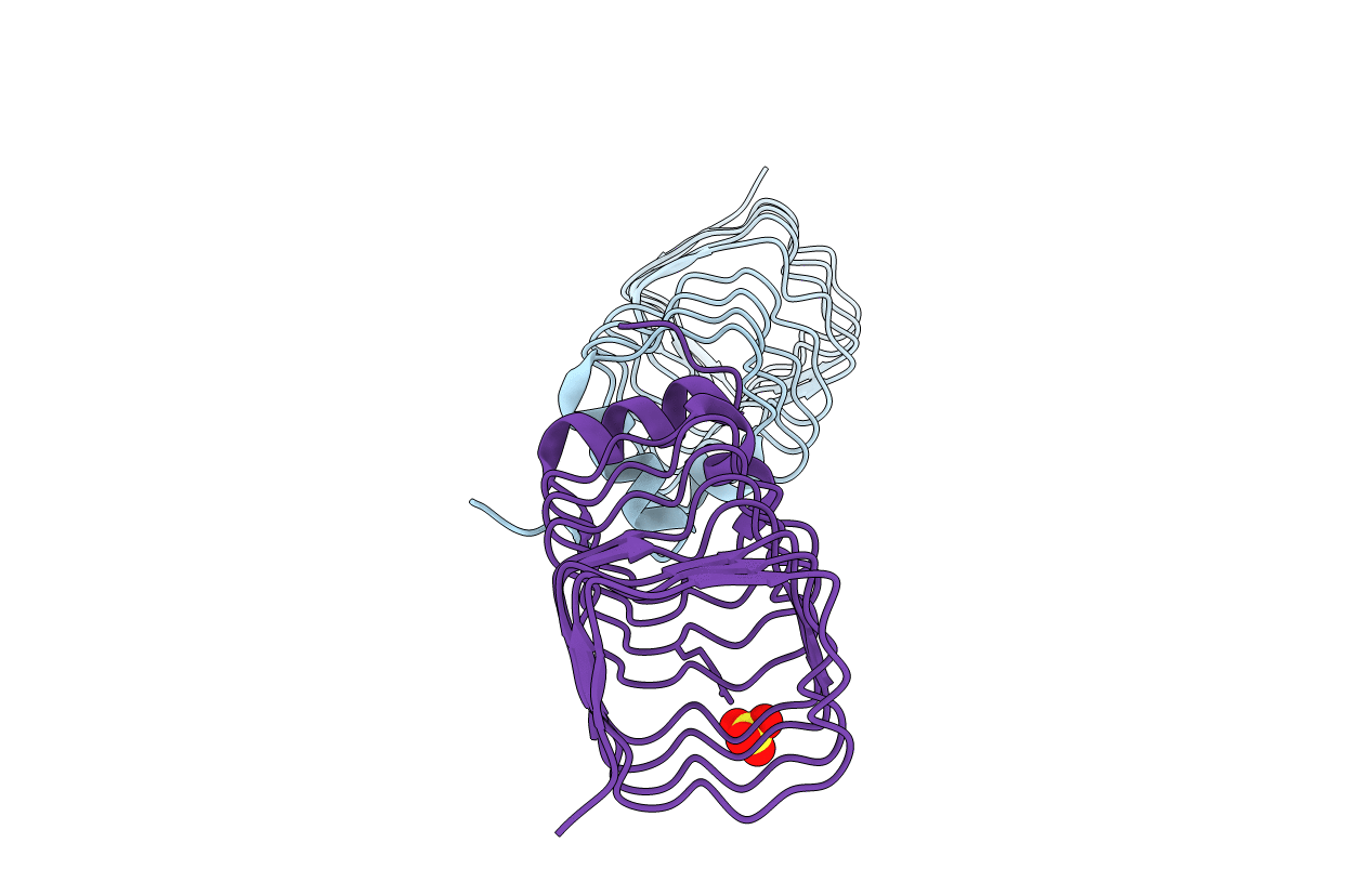 2BM5 image