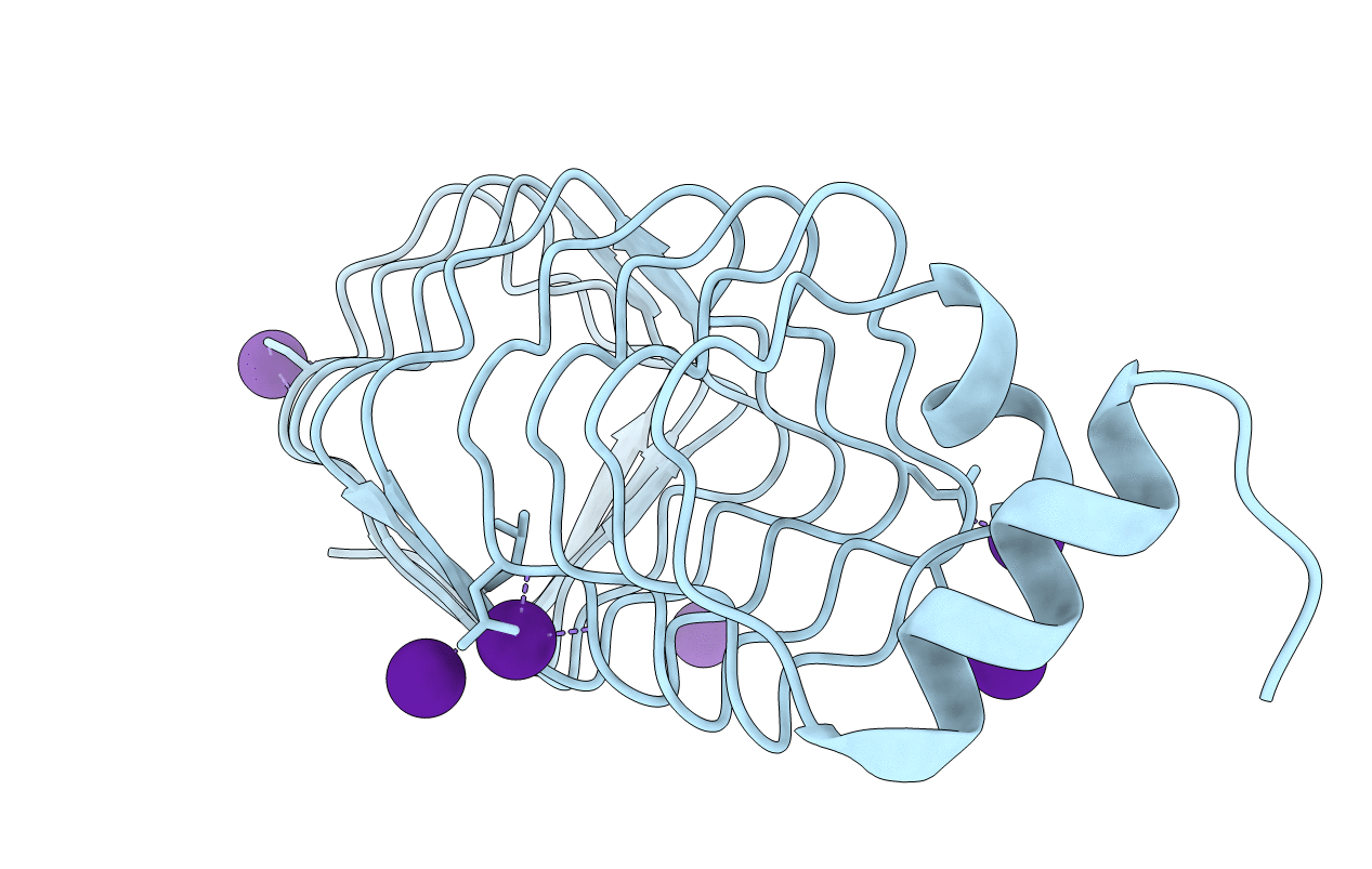 2BM6 image