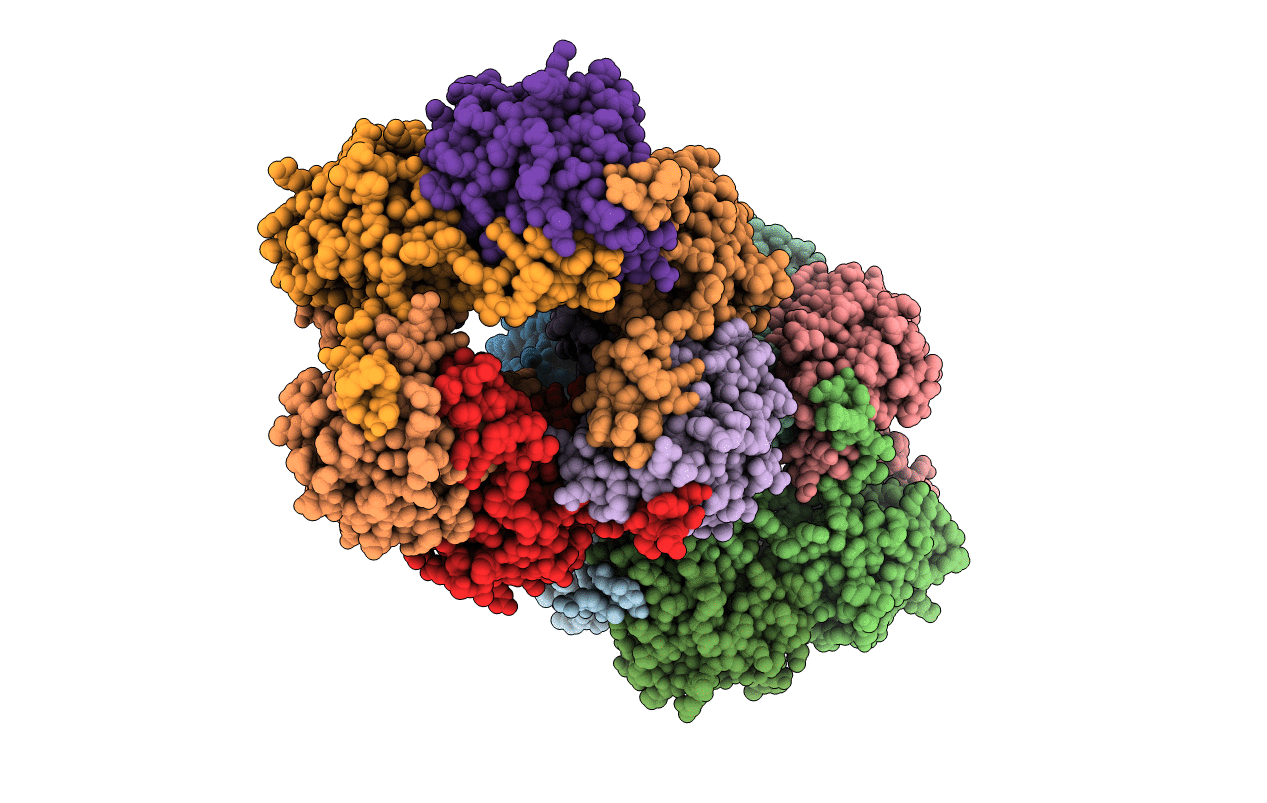 2BM8 image