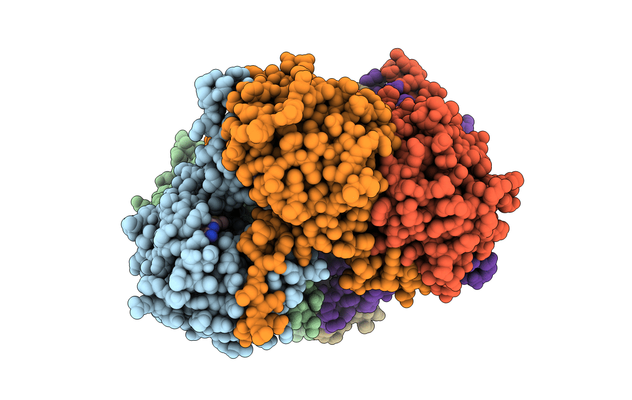 2BM9 image