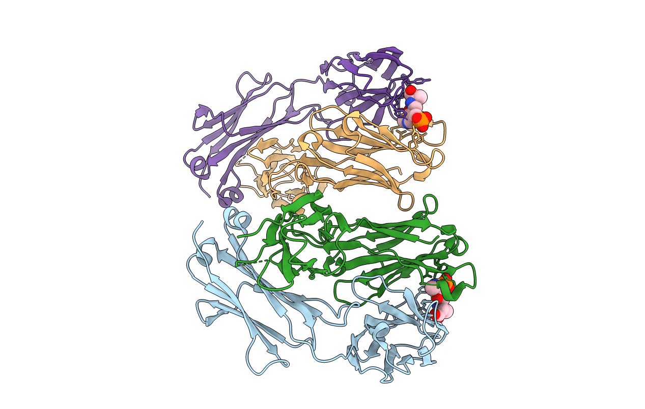 2BMK image