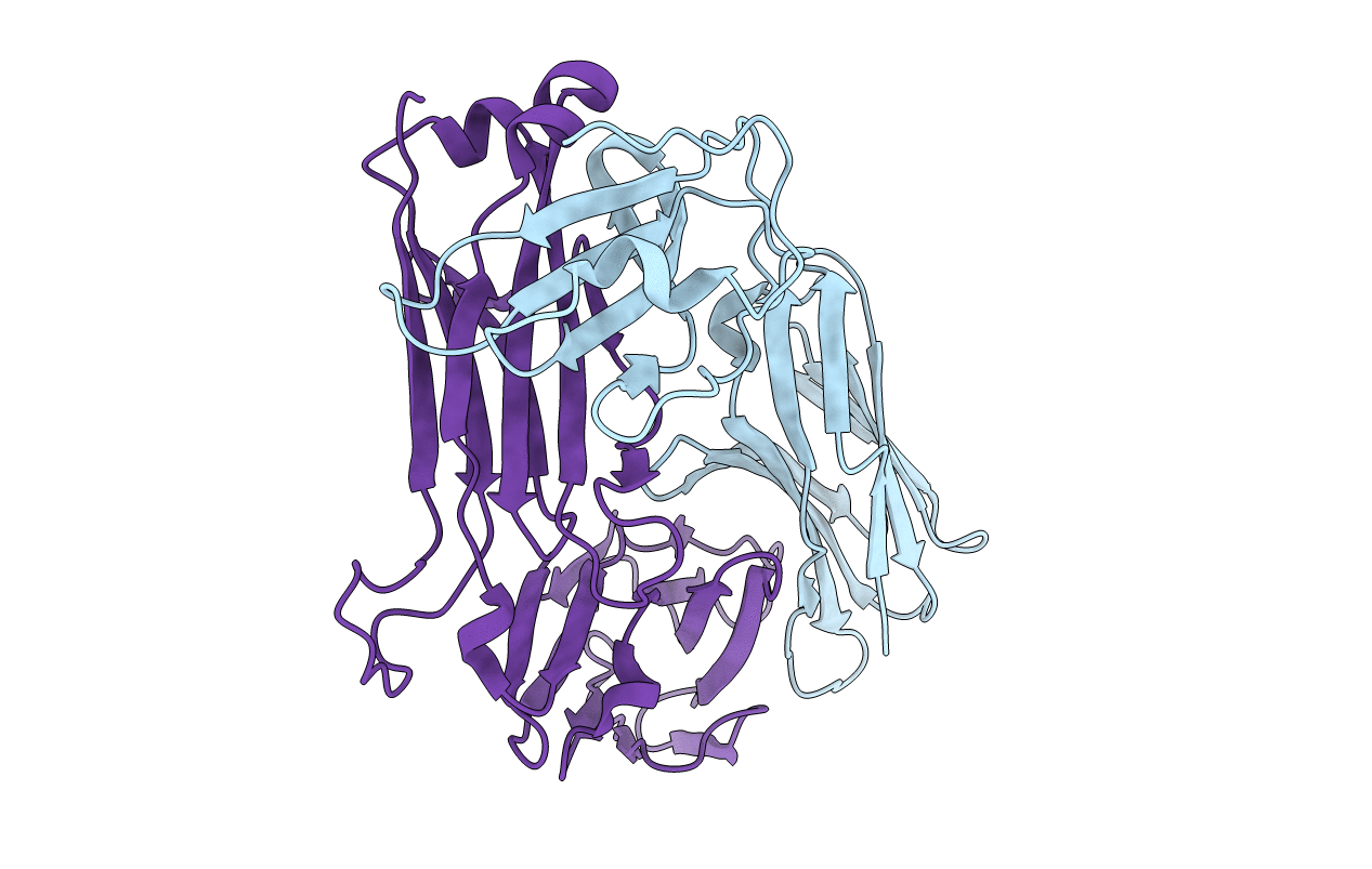 2BNU image