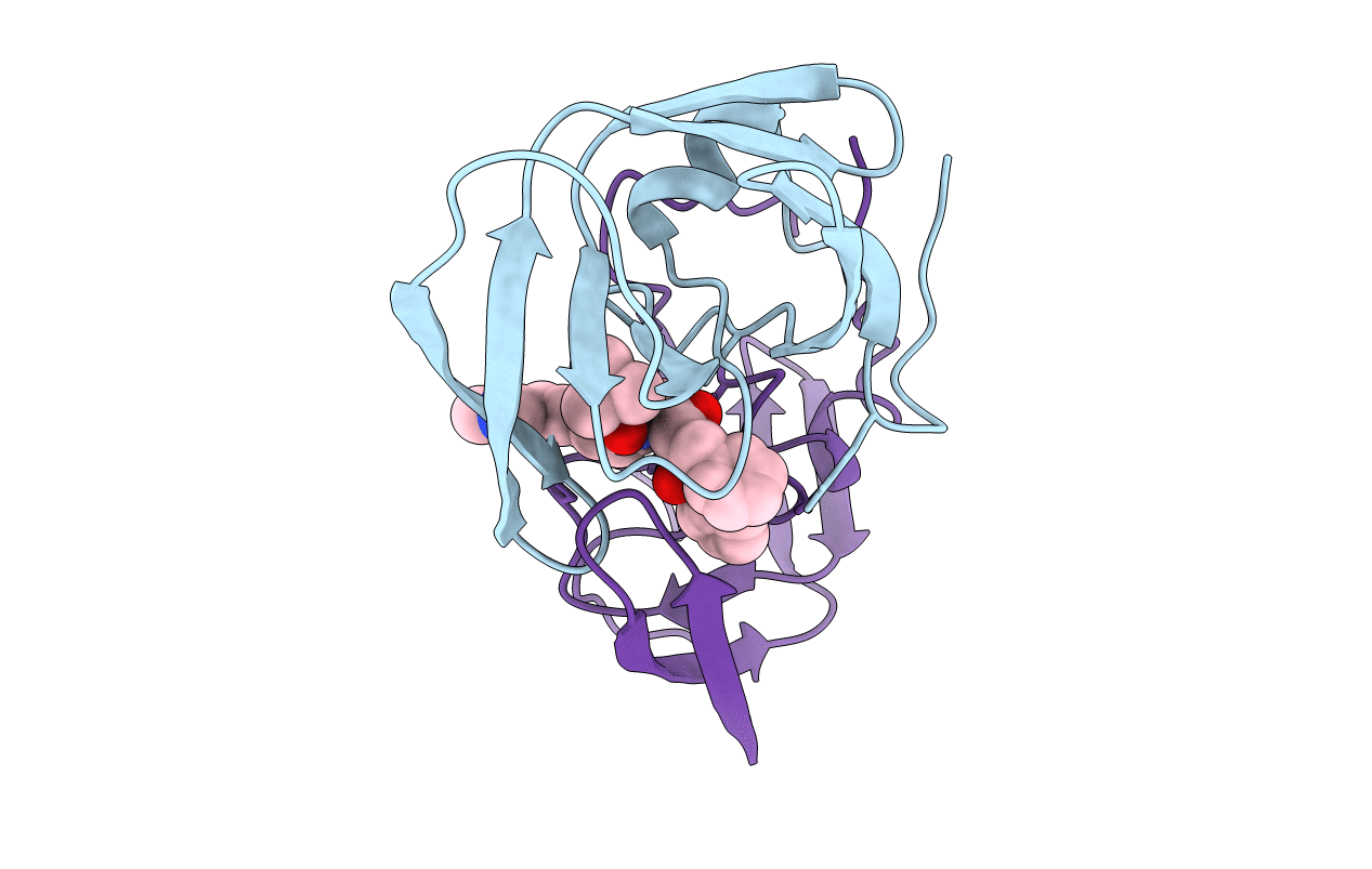 2BPV image
