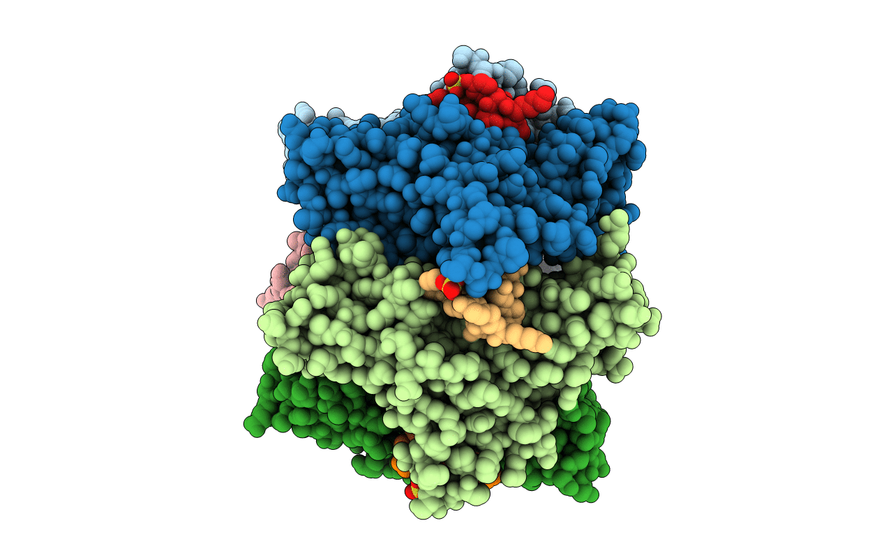 2BR8 image