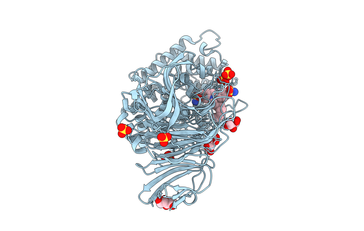 2BRP image