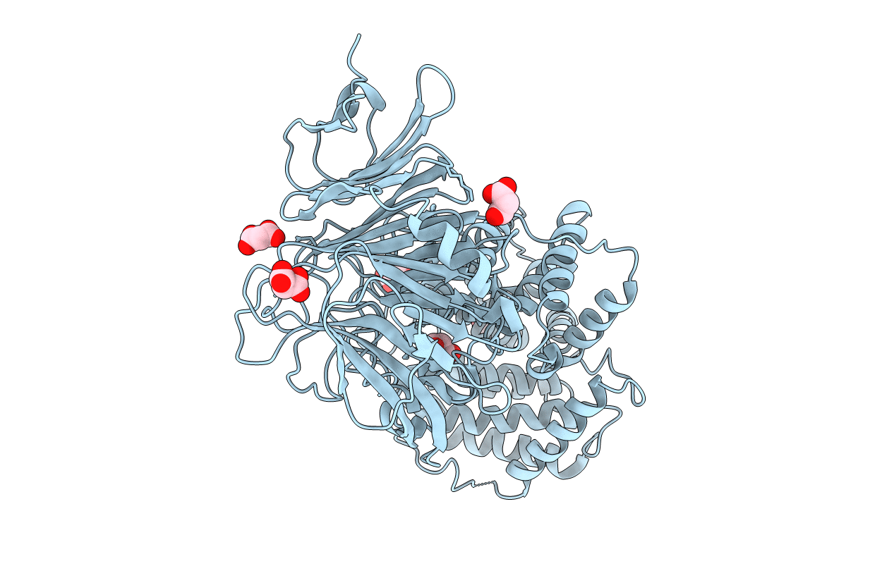 2BRV image
