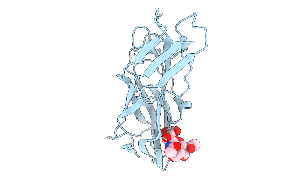 2BS7 image