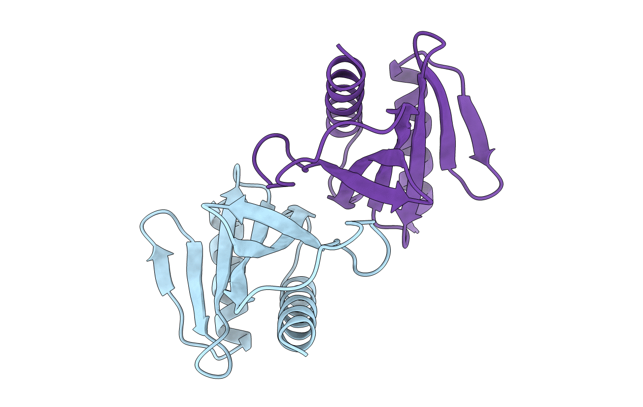 2BSI image