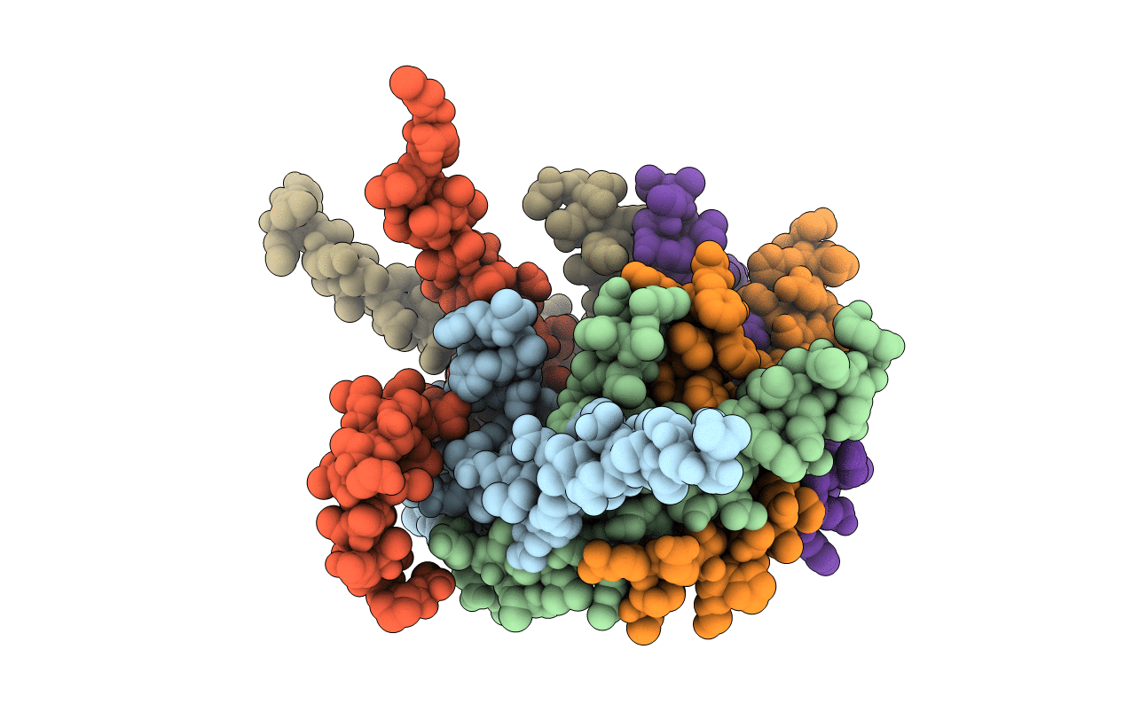 2BSK image