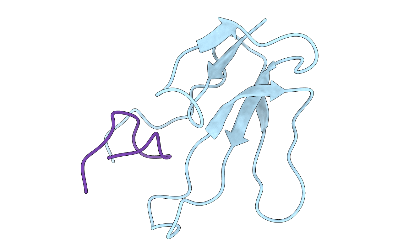 2BTX image