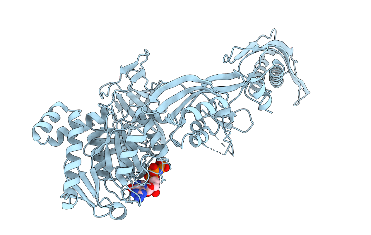 2BV3 image