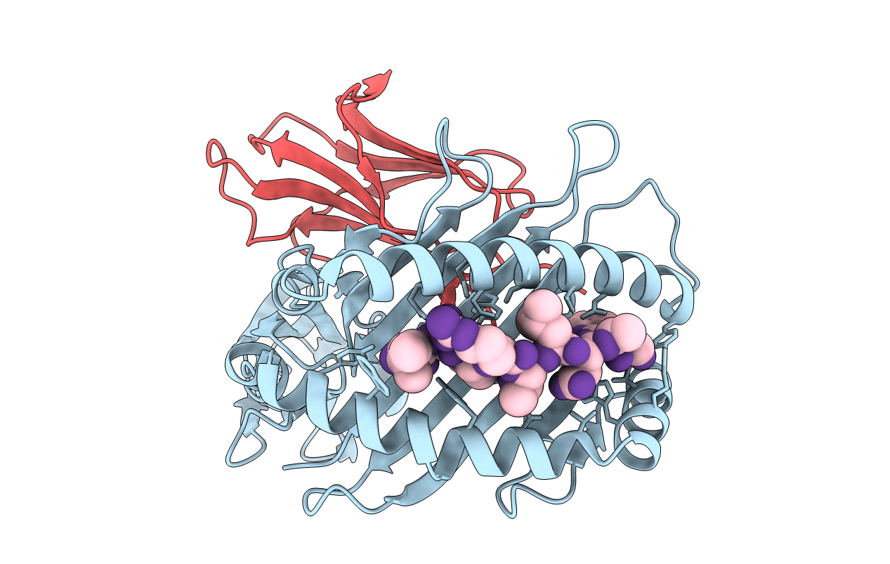 2BVP image