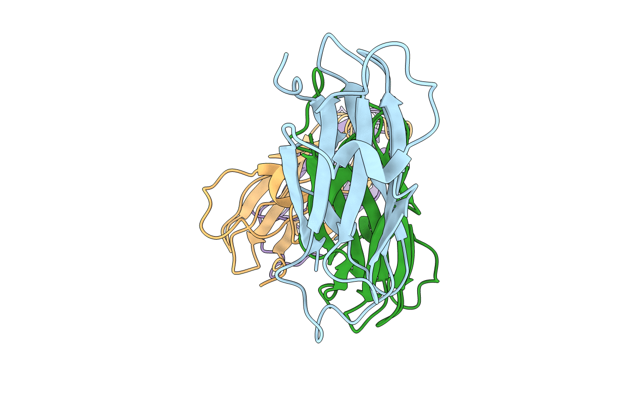2BVU image
