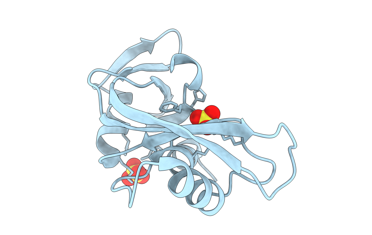 2BWK image