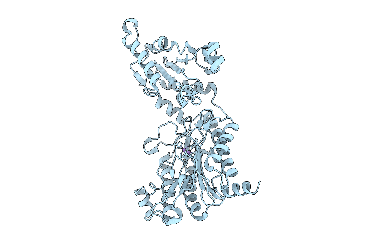 2BWS image