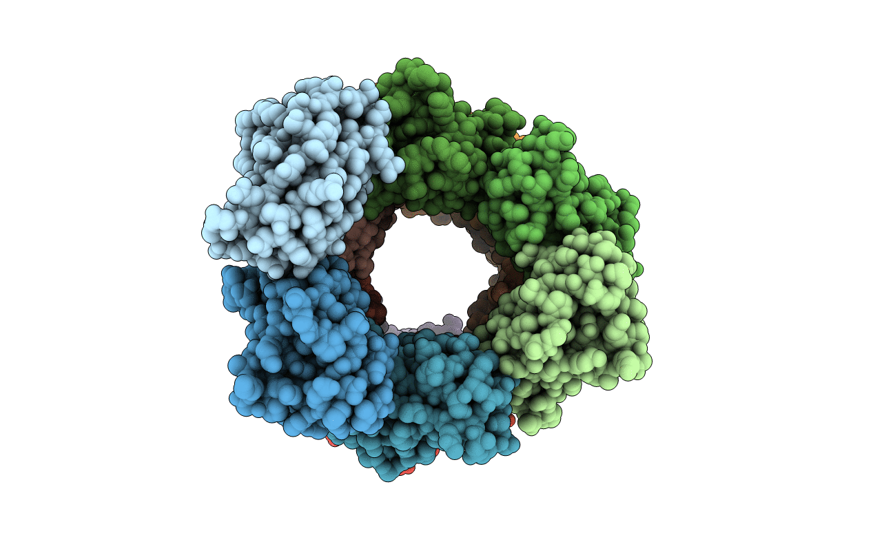 2BX5 image