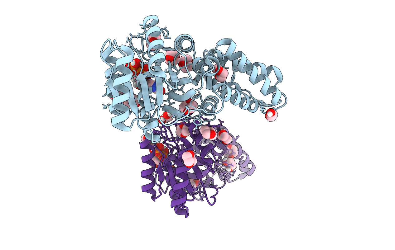 2C03 image