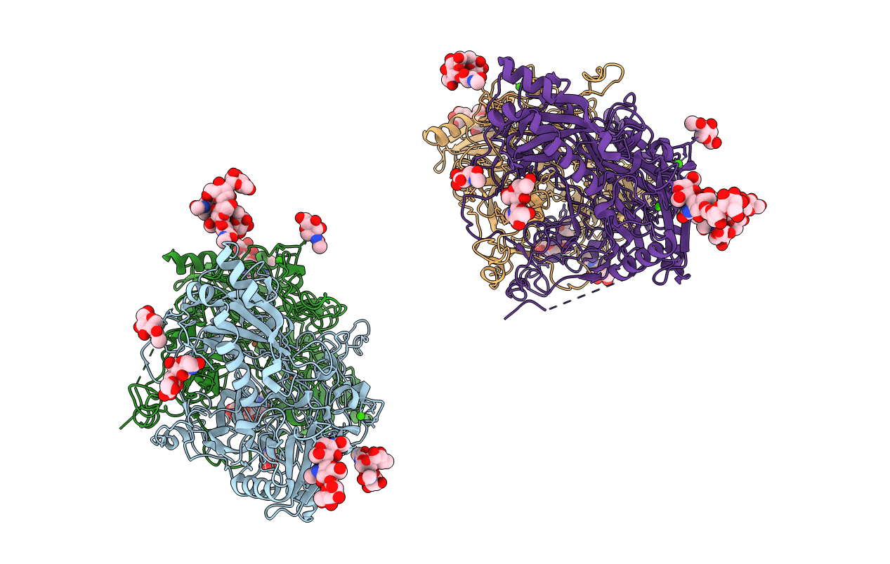 2C10 image
