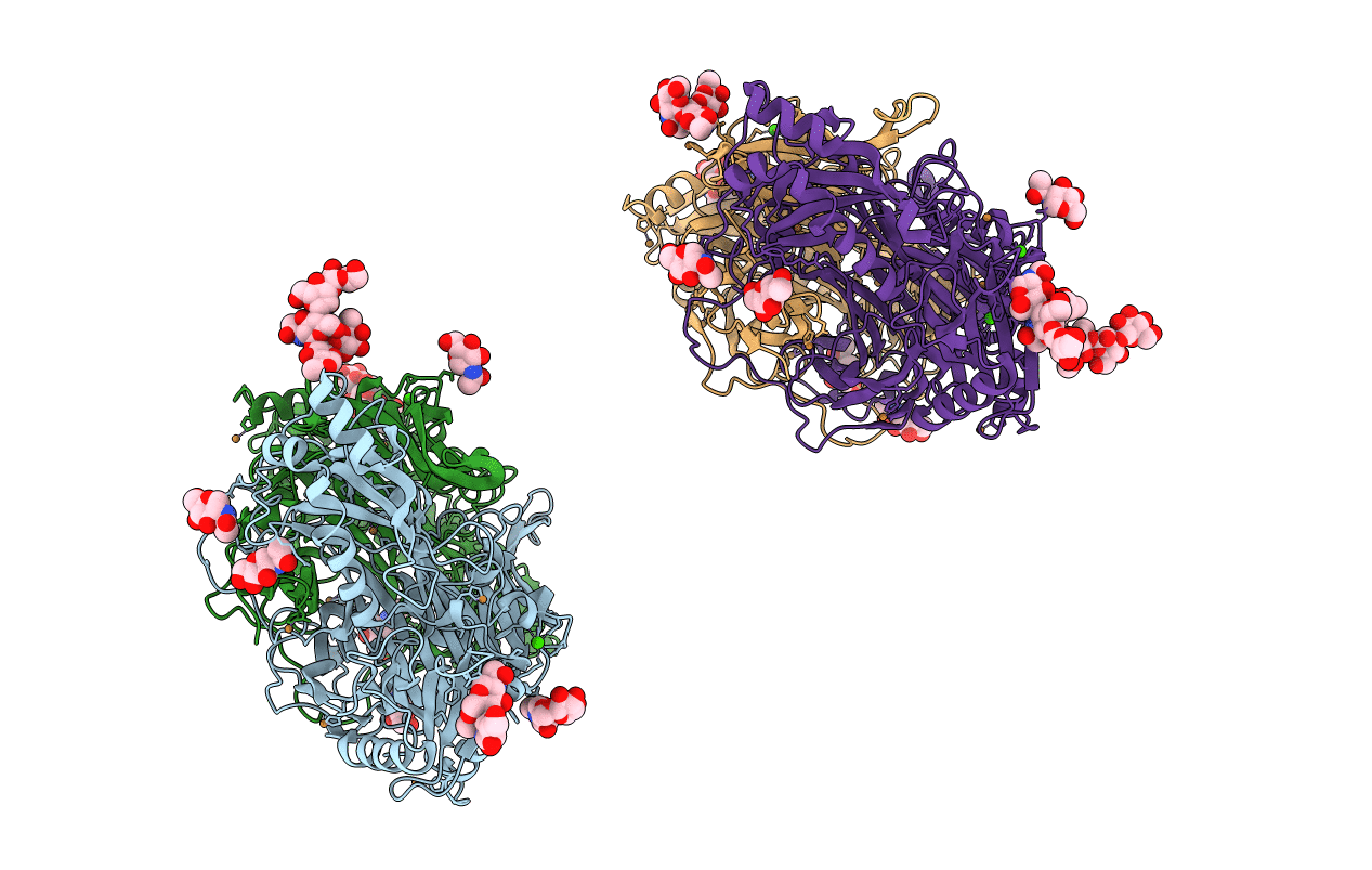 2C11 image