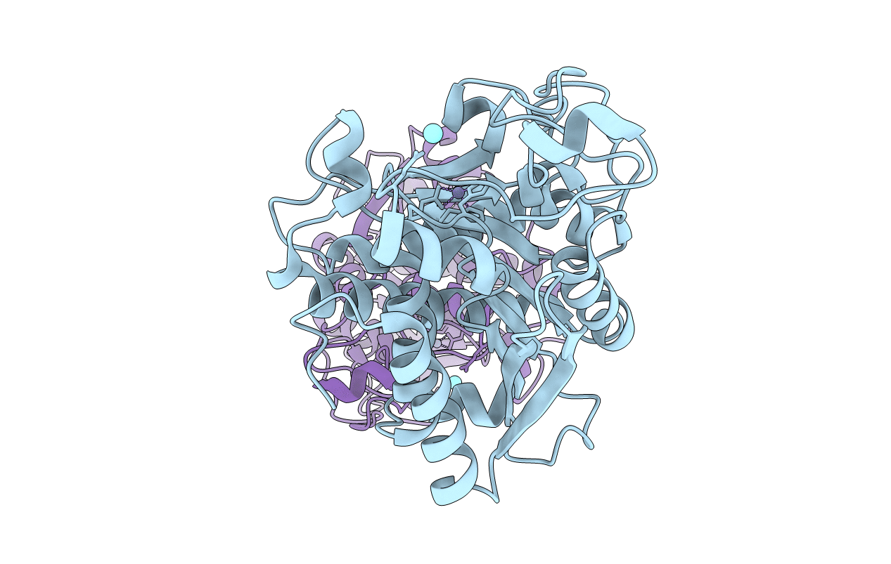 2C1C image