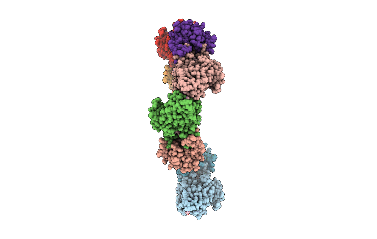 2C1D image