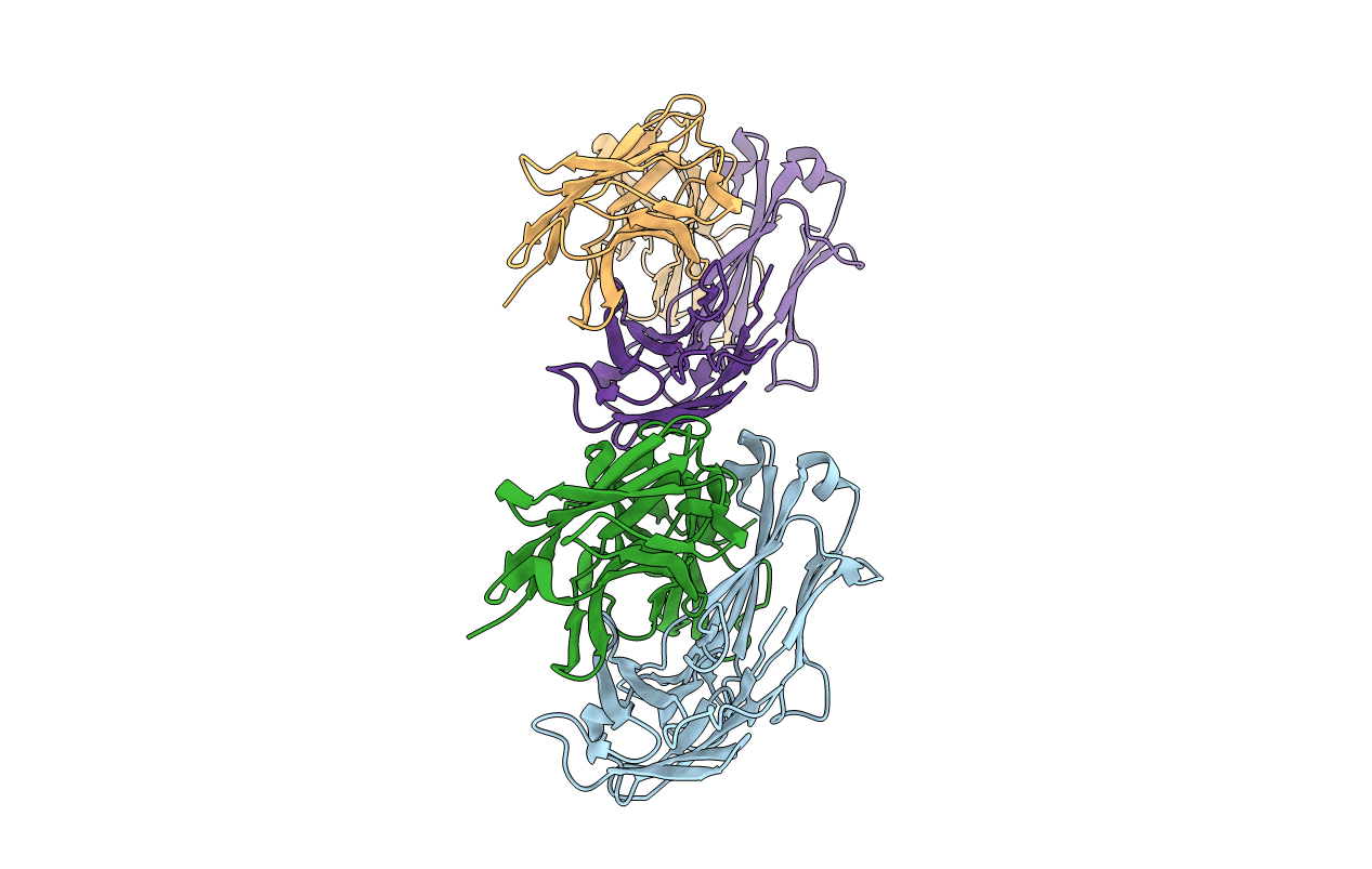 2C1O image