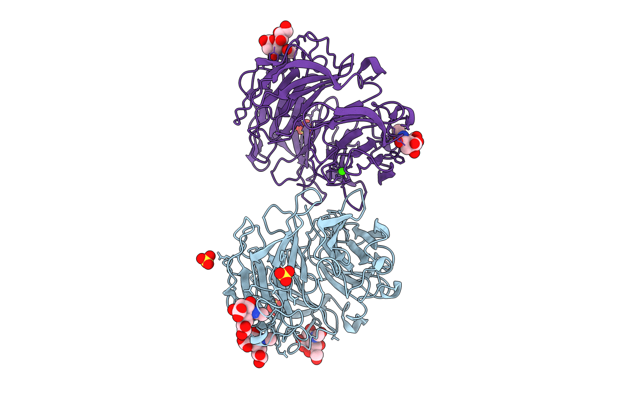 2C25 image