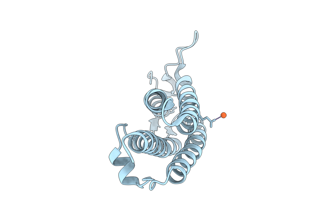 2C2J image
