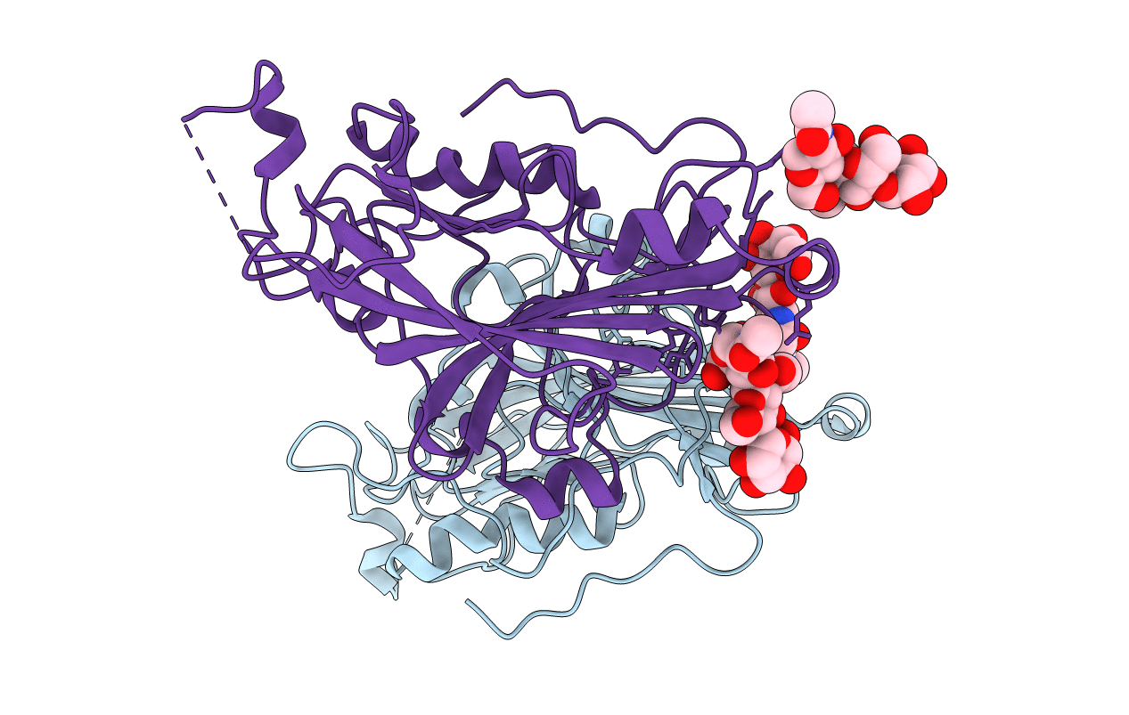 2C36 image