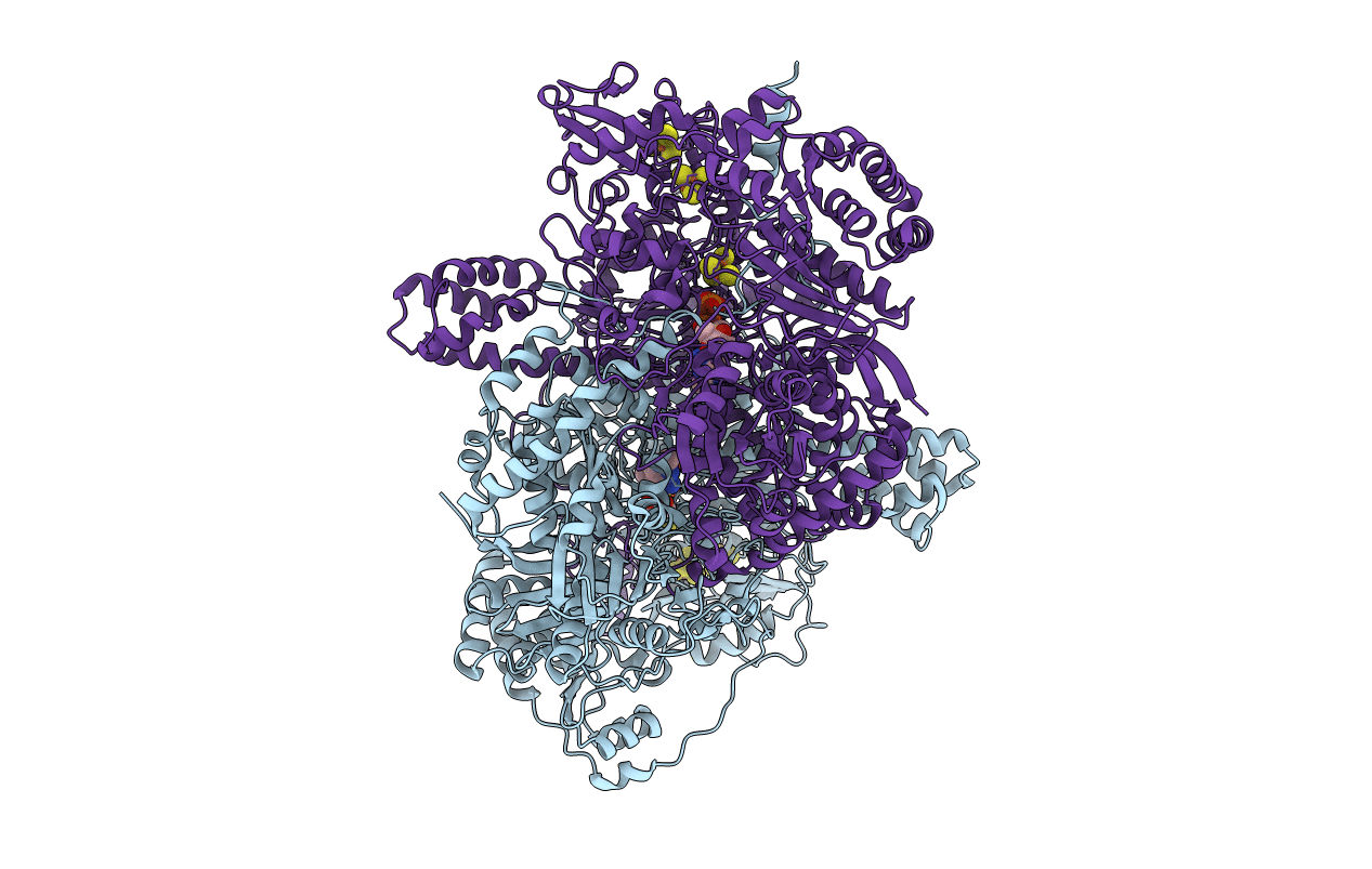 2C3O image