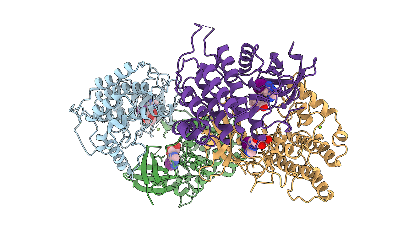 2C47 image