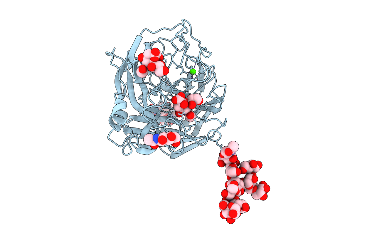 2C4A image