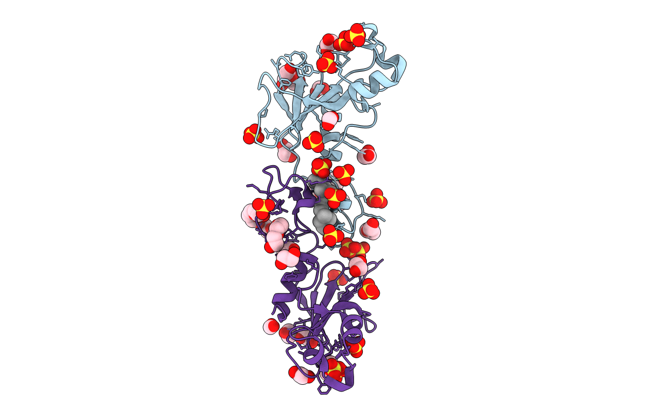 2C4B image