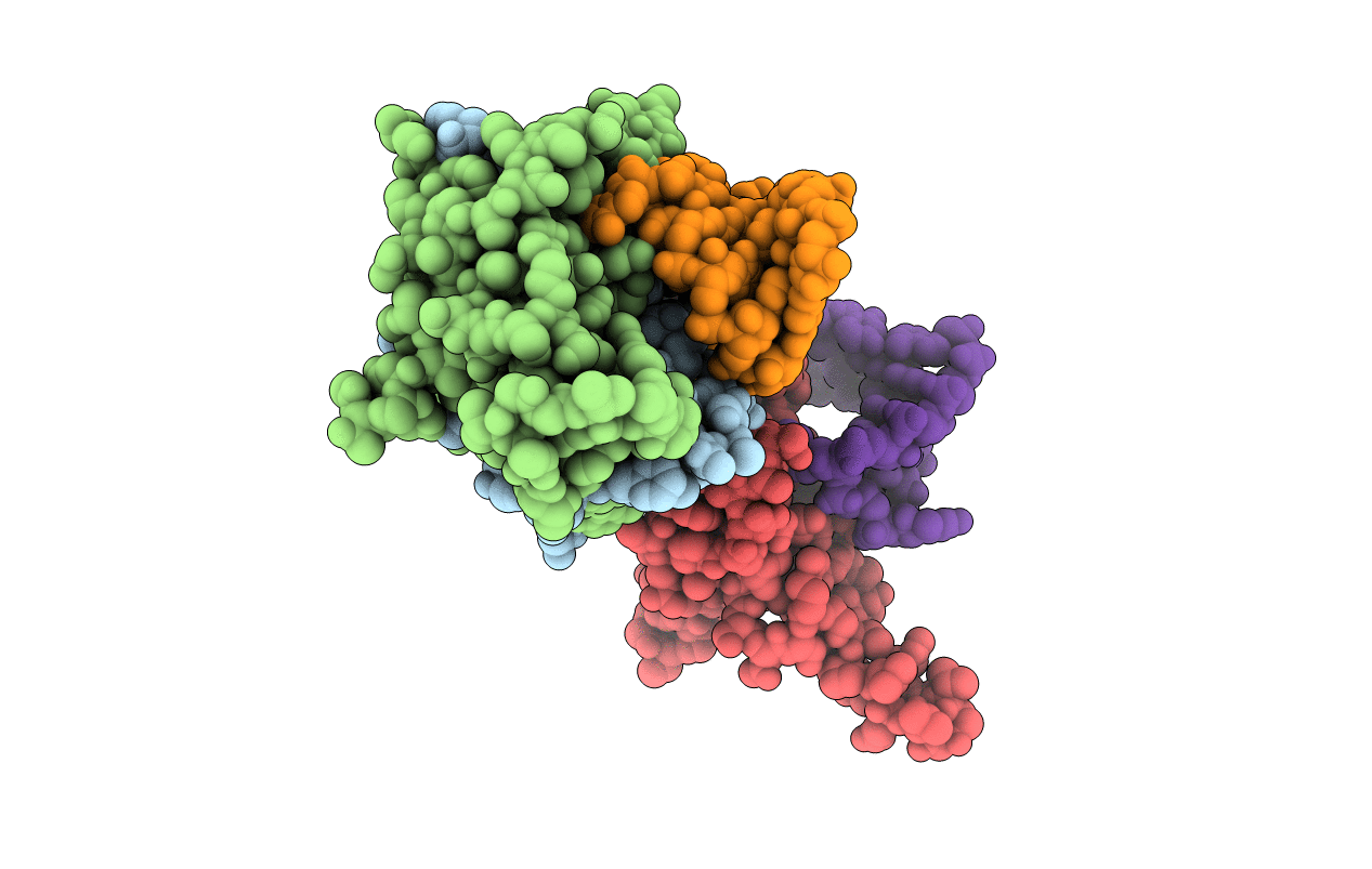 2C4Z image