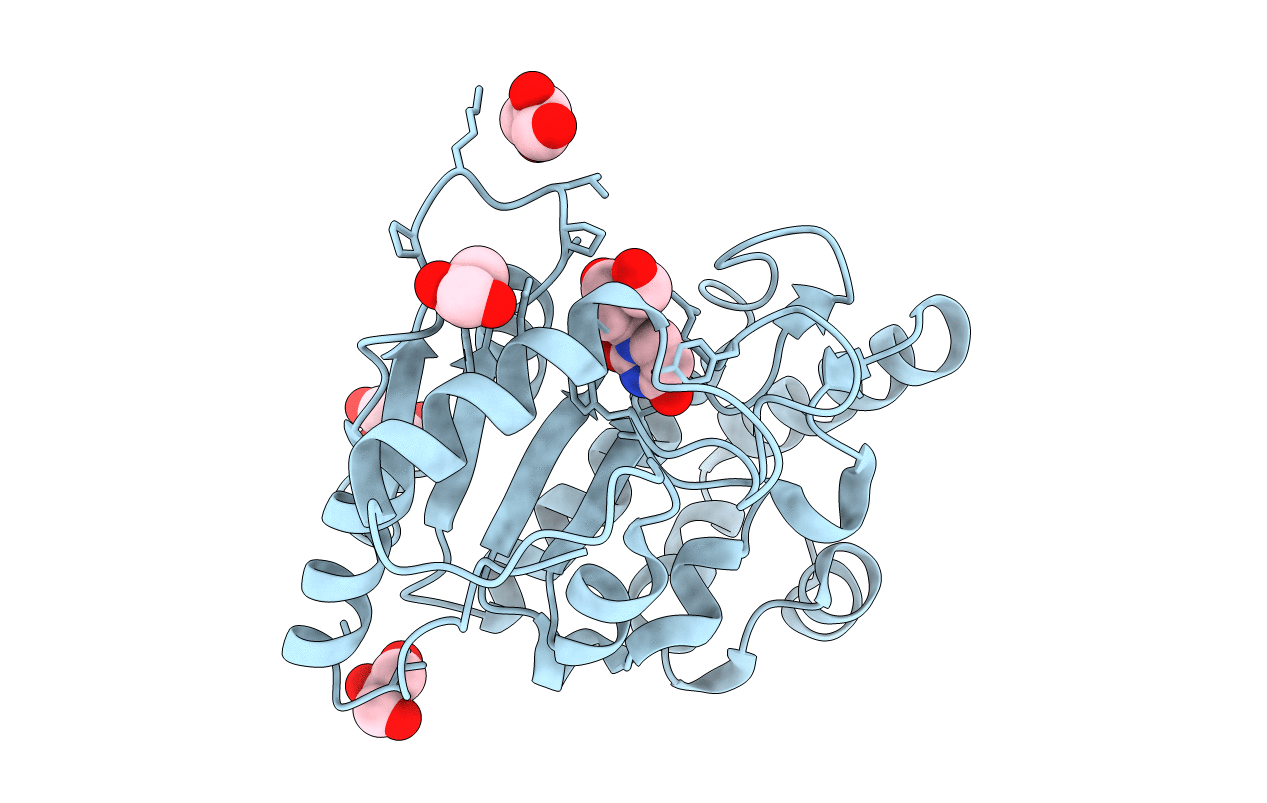 2C53 image