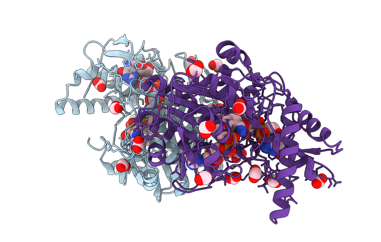 2C54 image